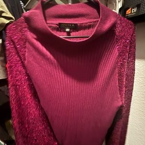 Joseph A. Maroon Sweater with Glitter Sleeves